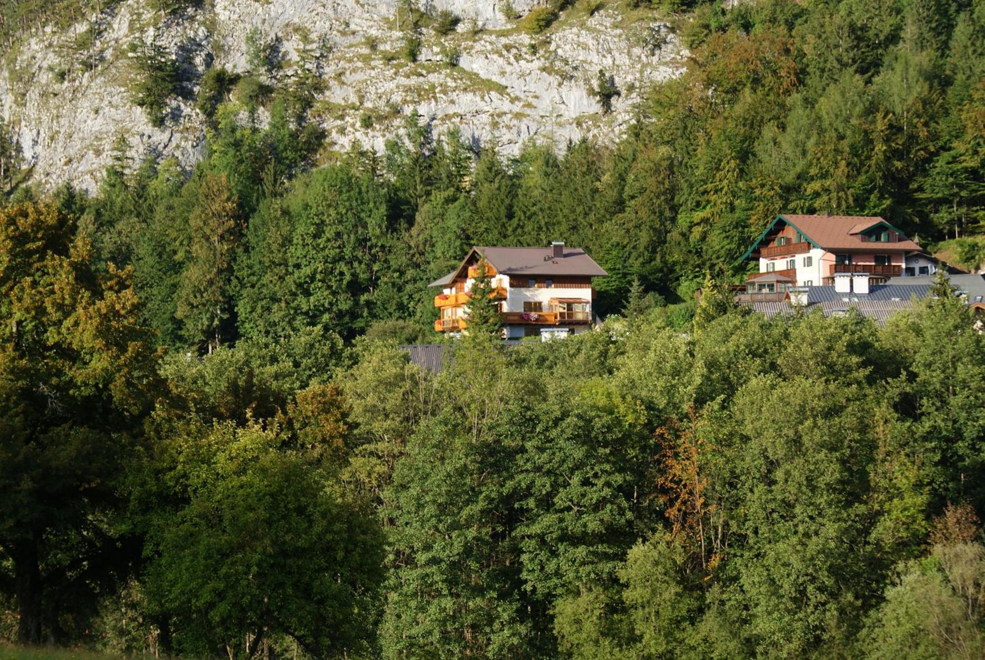 Haus Meissnitzer Fuschl am See Eksteriør bilde